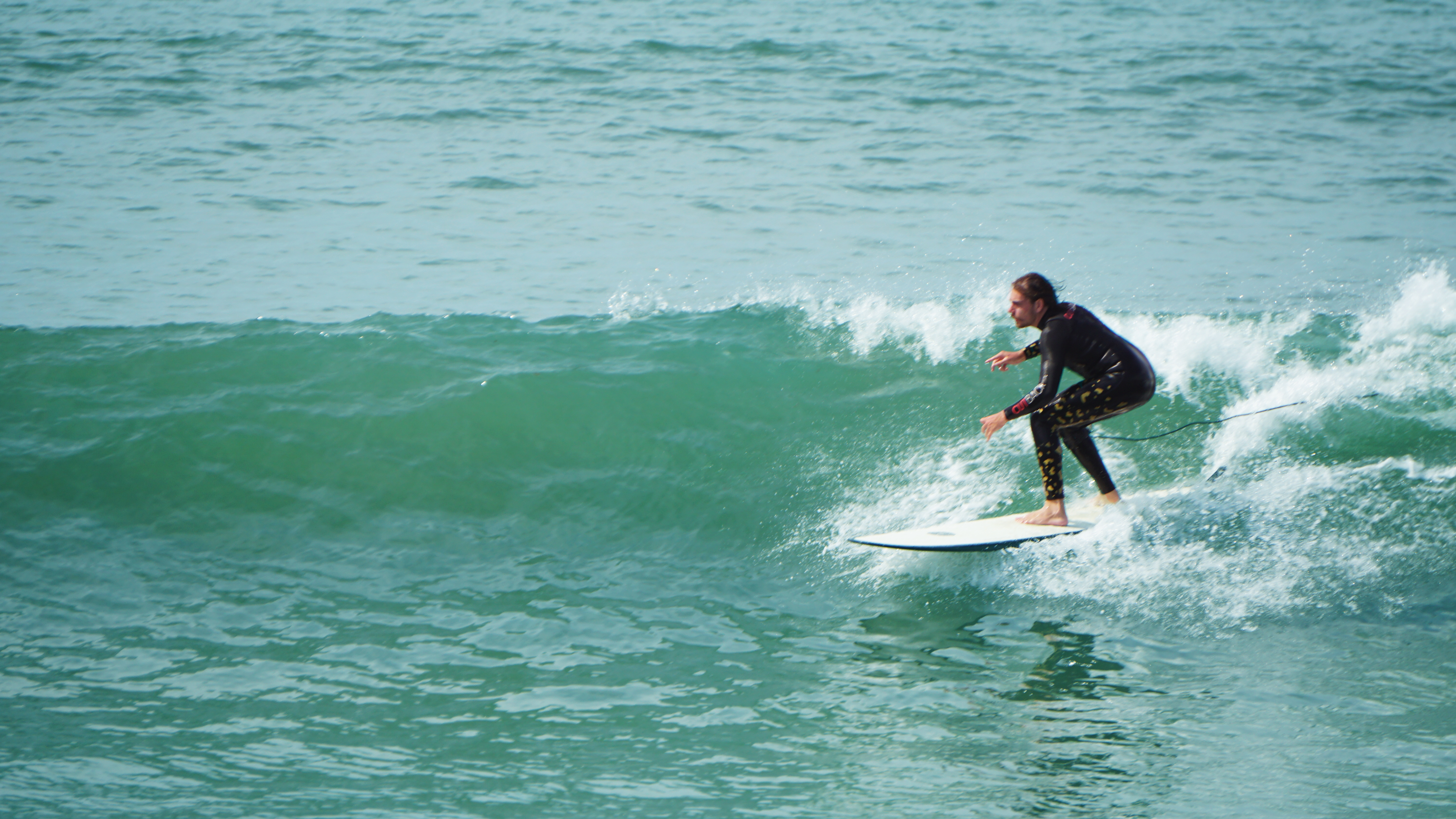 surfoloog onze surfscene
